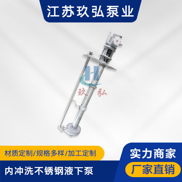 LY內衝洗不鏽鋼長軸液下泵(圖1)
