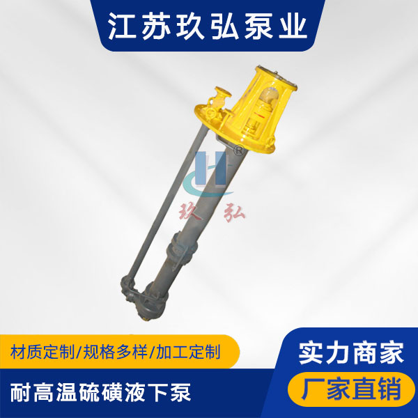 LHY耐高溫硫磺液下泵(圖1) LHY耐高溫硫磺液下泵(圖(tú)1)