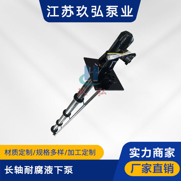 FYL長軸液下泵(圖1)