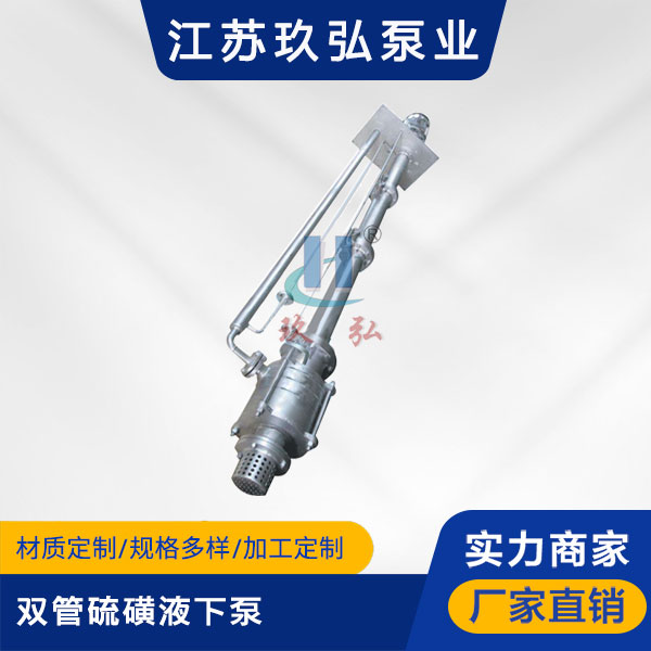 DLY雙管硫磺液下泵(圖1)