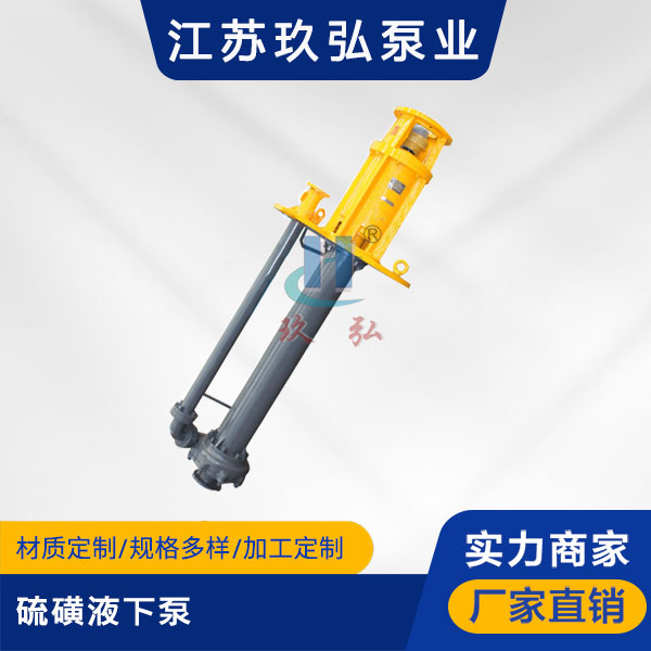 LHY型硫磺液下泵(圖1)