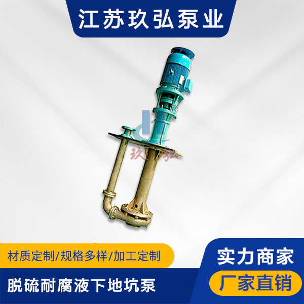 PLC脫硫地坑（kēng）液下泵(圖1)