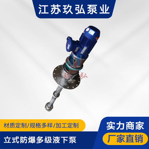 HDY立式防爆多級液下泵(圖1) HDY立式防爆多(duō)級液下泵(圖1)