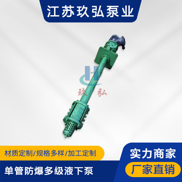 DLY單管防爆多級液下泵(圖1)