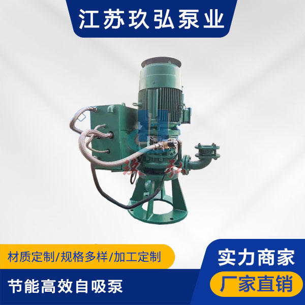 GLB高效節能自(zì)控自吸泵(圖1) GLB高效節能自(zì)控自吸泵(圖1)