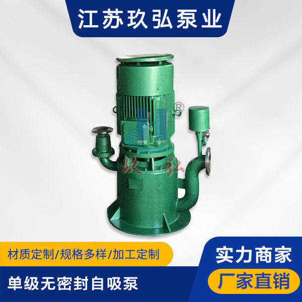 WFB單級無密（mì）封自控自吸泵(圖1)