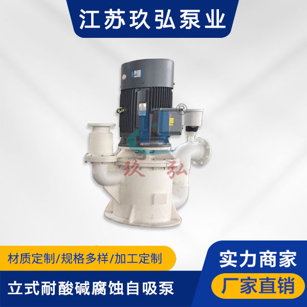 WFB立式耐酸堿腐蝕自吸泵(圖1)