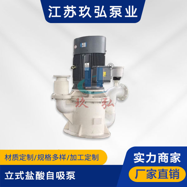 WFB立(lì)式鹽酸(suān)自吸泵(圖1) WFB立式(shì)鹽酸自吸泵(bèng)(圖1)