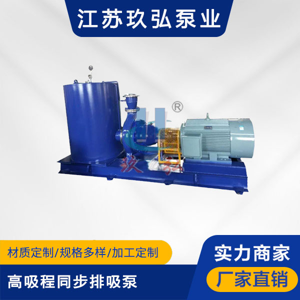 TBFB高吸程同步排吸泵(圖1)