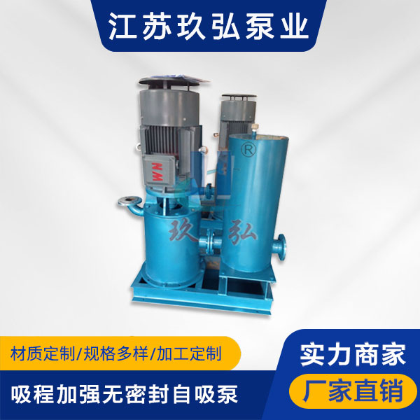 WFB吸程加（jiā）強型無密封自吸（xī）泵(圖1)