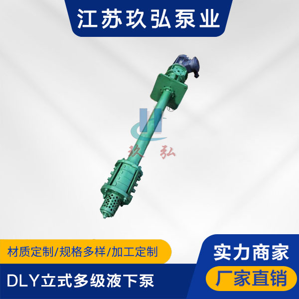 DLY立式多級液（yè）下泵(圖1)