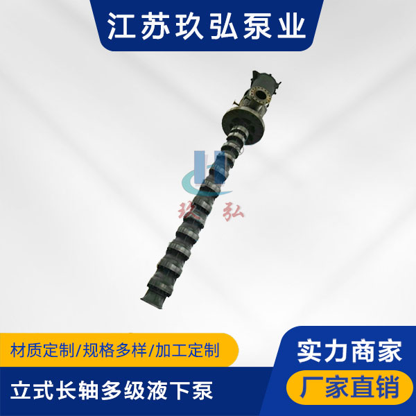 HLC立式長軸（zhóu）多級（jí）液下泵（bèng）(圖1)