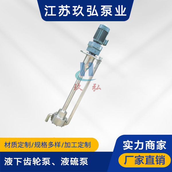 ATY液下齒輪泵、液硫泵(圖1) ATY液下齒輪(lún)泵、液硫泵(圖1)