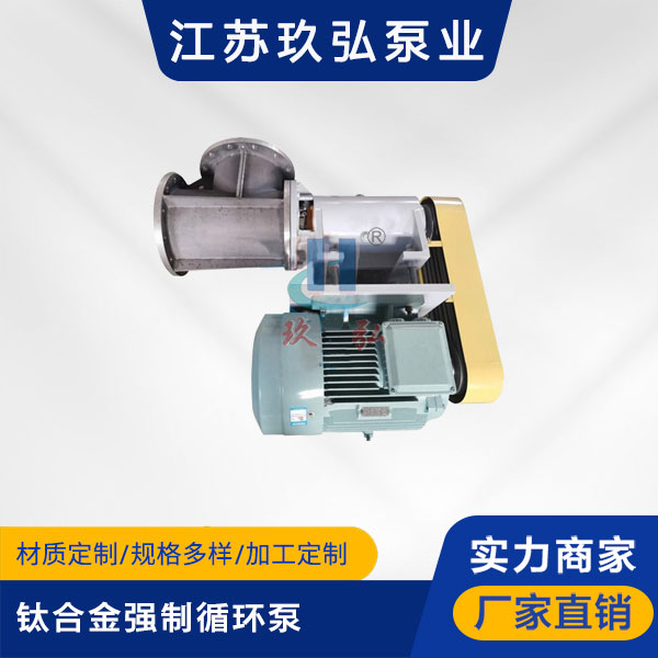 FJX-Ⅱ型鈦(tài)合金強(qiáng)製循環泵(圖1) FJX-Ⅱ型(xíng)鈦合金強(qiáng)製循環泵(圖1)