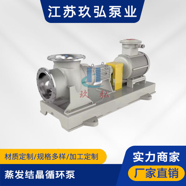 FJX蒸發結晶循環泵(bèng)(圖1) FJX蒸(zhēng)發結晶循環泵(圖1)