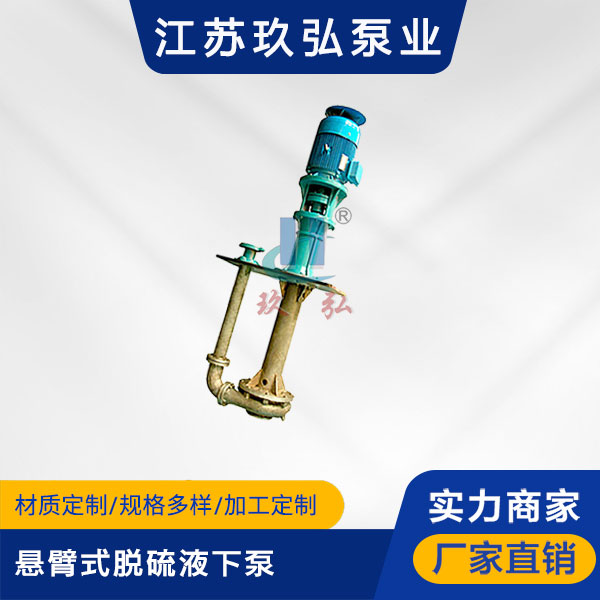 PLC懸臂式（shì）脫硫液下泵(圖1)