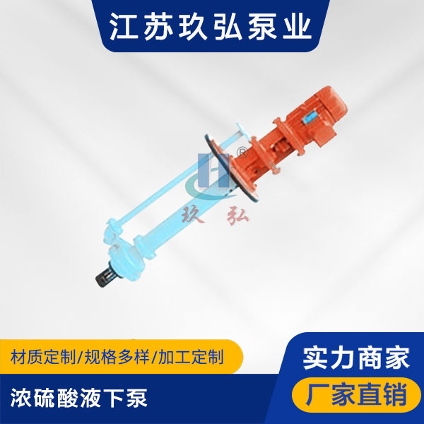 GBY濃硫酸液下泵(圖1)