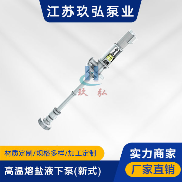RY型高溫熔鹽液下泵(新（xīn）式)(圖1)