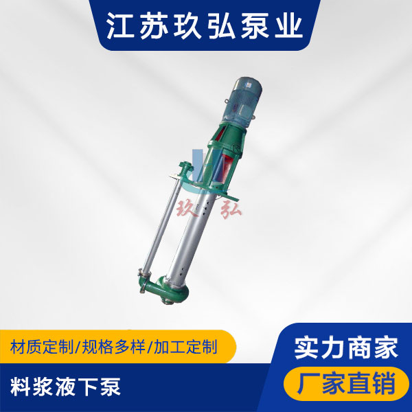 LJYA料（liào）漿液下泵(圖1)