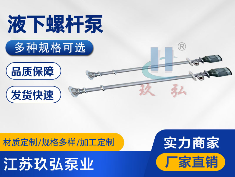 12.20出廠的液下螺杆泵（bèng）(圖（tú）1)