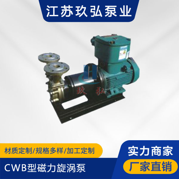 CWB型磁力旋渦泵(圖1)