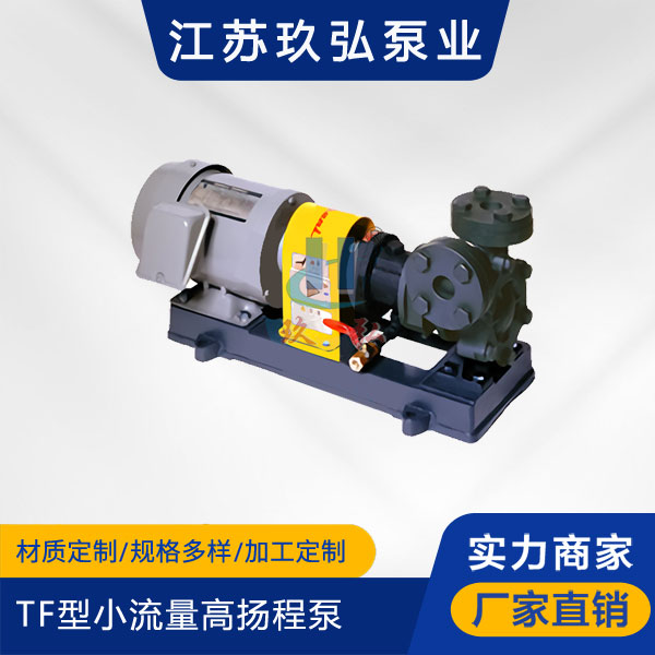 TF型小流量高揚程泵(圖1)
