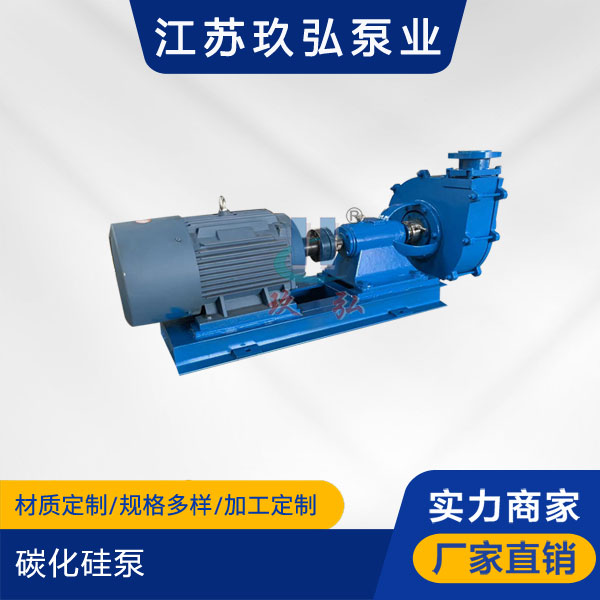 碳化（huà）矽泵-耐腐耐磨泵(圖1)