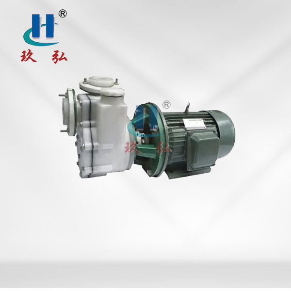 FZB-Ⅱ直連式氟塑自（zì）吸泵