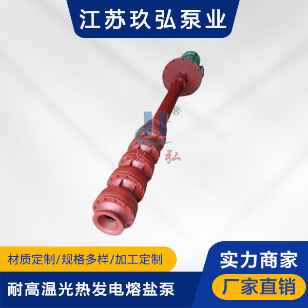 RY光熱發電熔鹽液下泵(圖1)