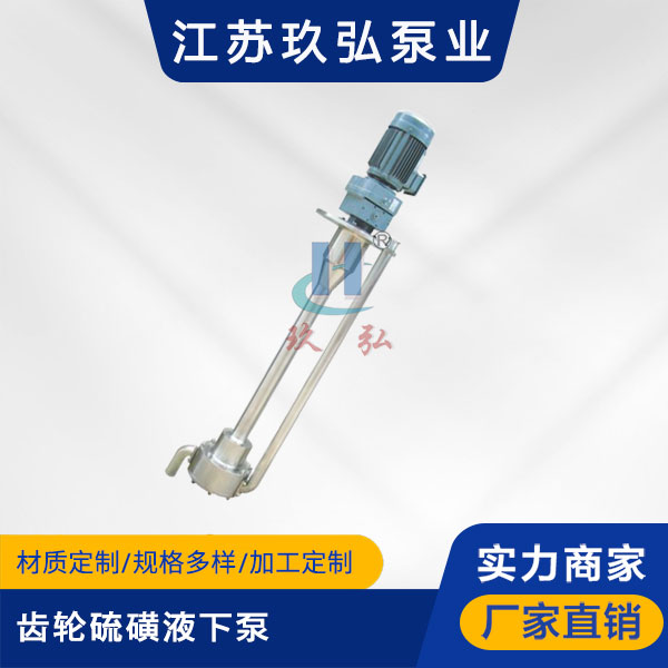 ATY齒輪硫磺液下泵(bèng)【液硫泵】(圖1) ATY齒輪硫磺液下泵【液硫泵】(圖1)