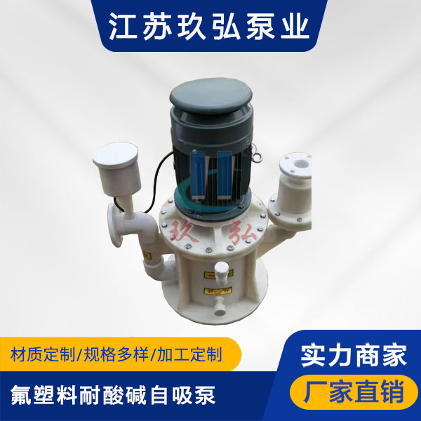 WFB氟（fú）塑料耐酸堿型自控自吸泵(圖1)