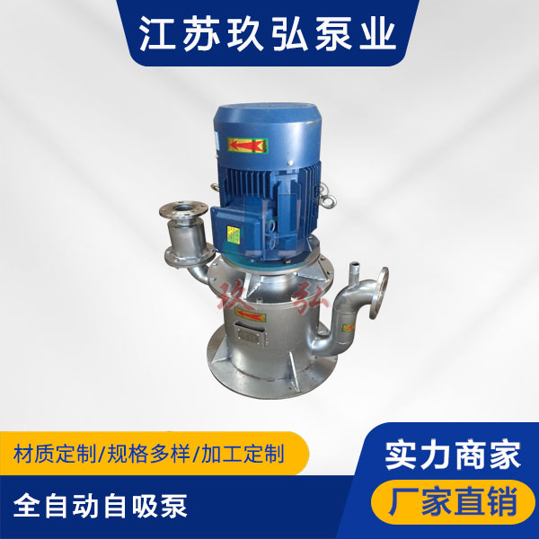 WFB全自動自吸泵(圖1)