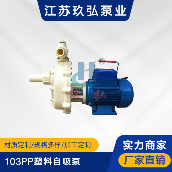 103PP塑料自吸泵(圖（tú）1)