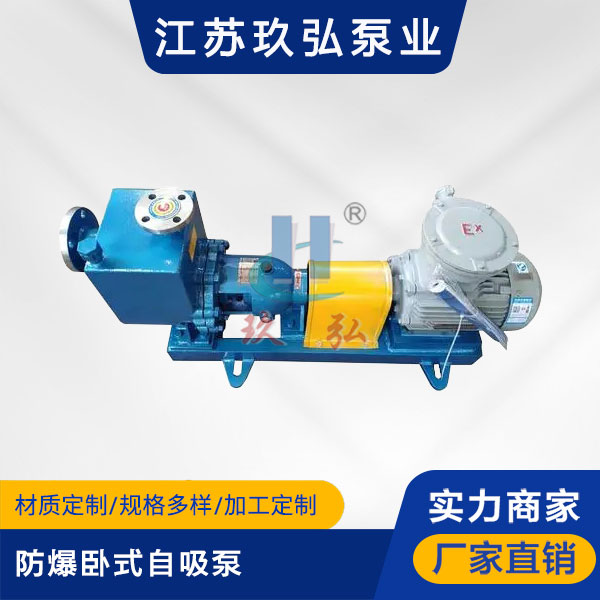 ZXB防爆臥式自吸泵（bèng）(圖1)