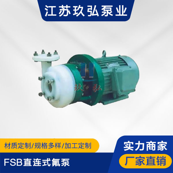 FSB直連式氟泵(圖1)
