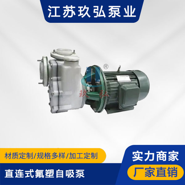 FZB-Ⅱ直連式氟塑自吸泵(圖1)