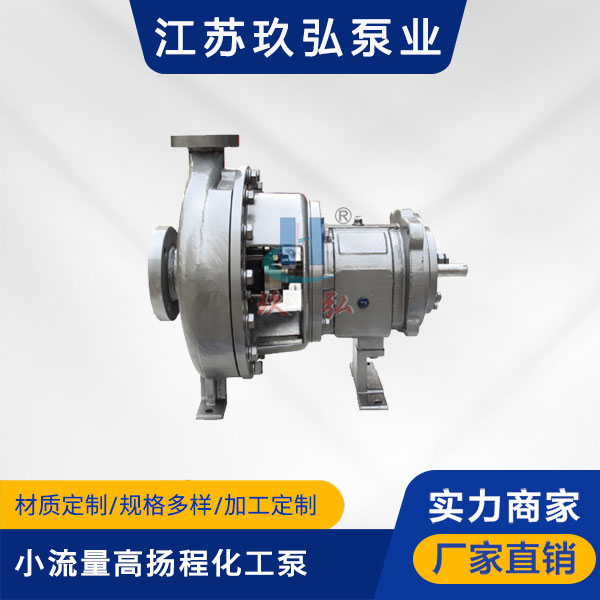 GH係列小流量高揚程化工流程泵(圖1)